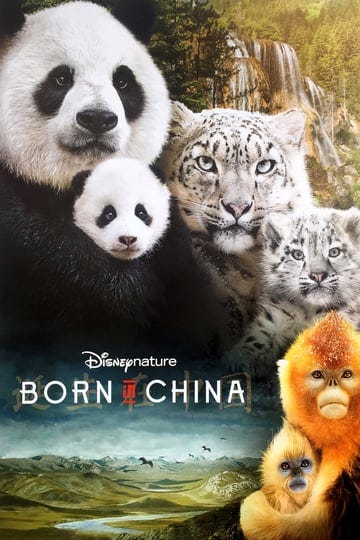 born-in-china-tt4629266-1