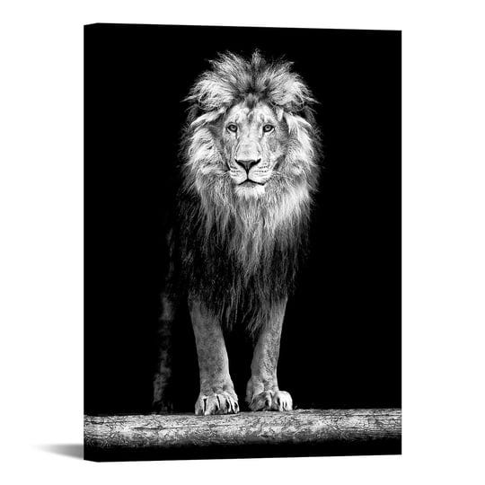 levvarts-lion-canvas-printportrait-of-beautiful-lion-in-the-dark-wall-art-stretched-wood-frameblack--1