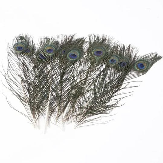 mr-mjs-vl-xfx6011-12-in-peacock-feathers-decoration-set-of-12-1