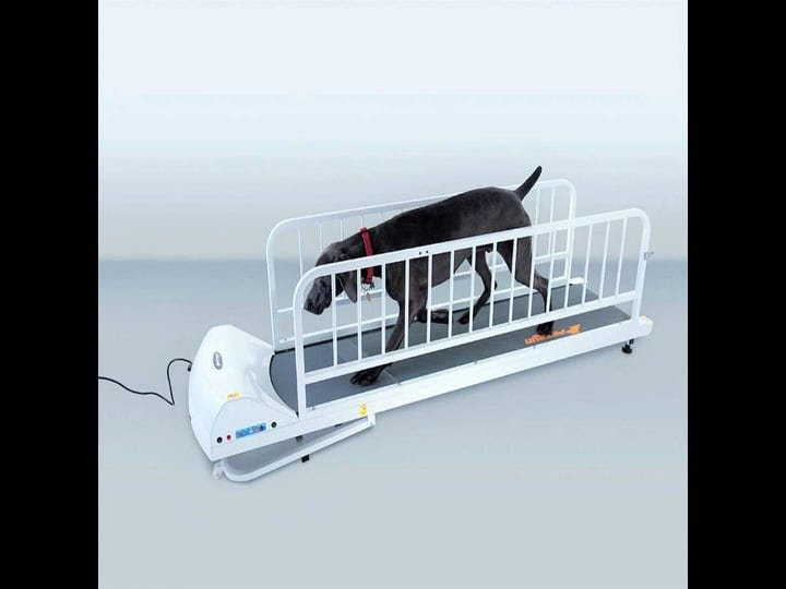 petrun-pr725-dog-treadmill-1
