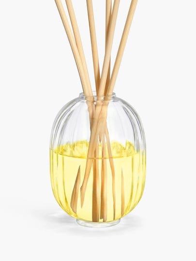 diptyque-citronnelle-fragrance-reed-diffuser-1