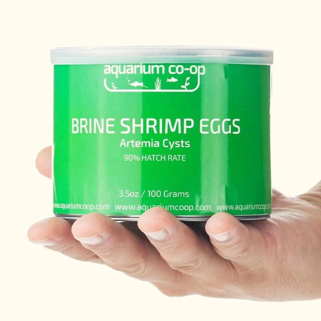 100g Brine Shrimp Eggs for Aquarium Feeding | Image