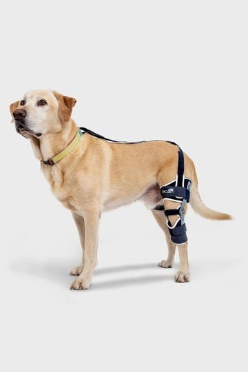 balto-ligatek-adjustable-hinged-dog-knee-brace-large-right-1