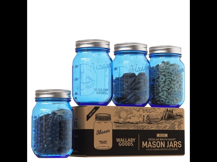 colored-mason-jars-16-oz-light-blue-4-pack-1