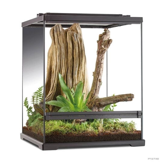 exo-terra-tree-frog-terrarium-18x18x24-1