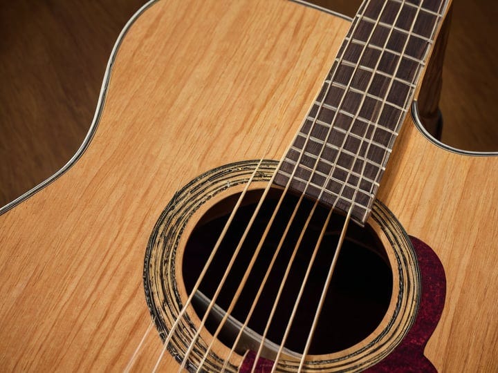 Takamine-12-String-6