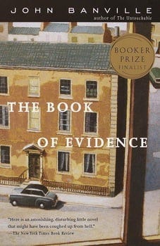 the-book-of-evidence-193040-1