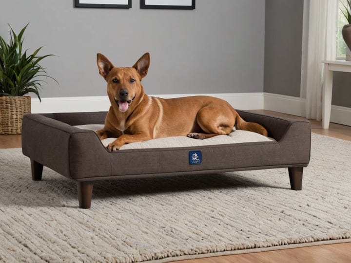 Serta-Dog-Bed-6