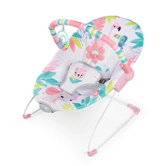 bright-starts-baby-bouncer-soothing-vibrations-infant-seat-removable-toy-bar-nonslip-feet-0-6-months-1