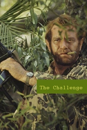 the-challenge-1011253-1