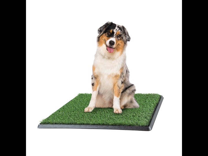 petmaker-puppy-potty-trainer-the-indoor-restroom-for-pets-1