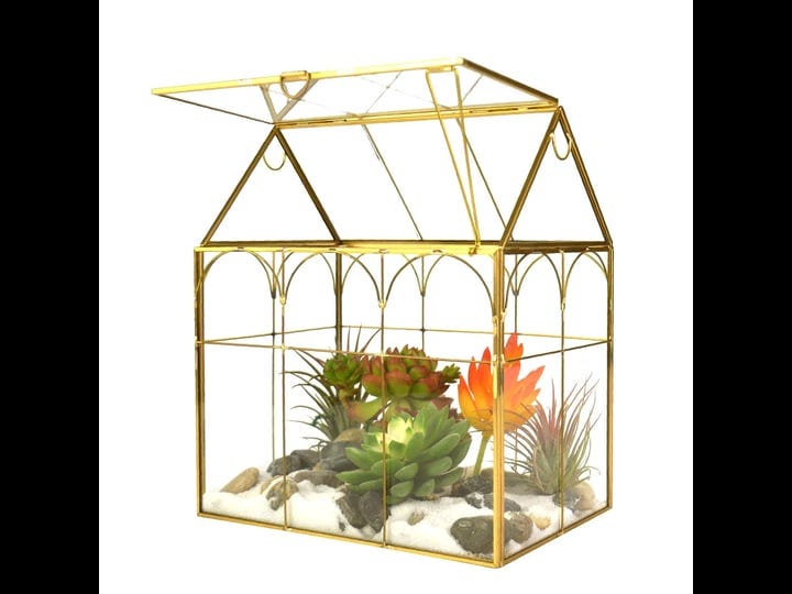 large-tall-plant-terrarium-glass-glass-greenhouse-terrarium-with-lidindoor-tabletop-orchid-succulent-1
