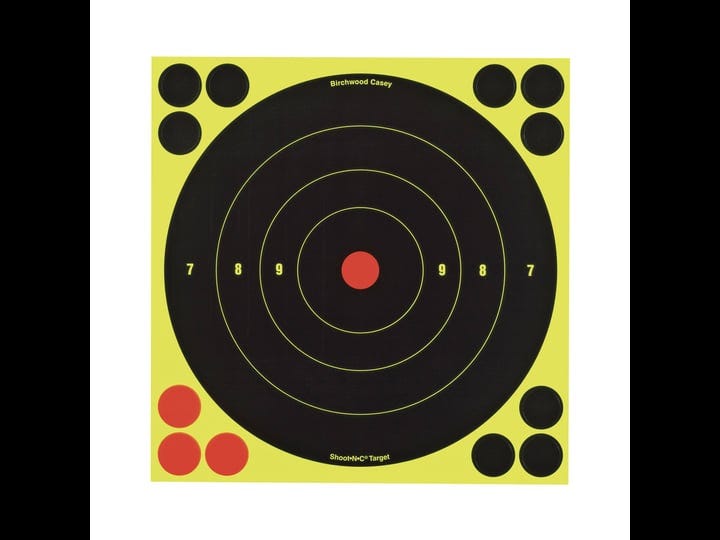 birchwood-casey-shoot-n-c-target-9