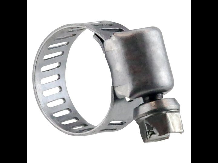 apollo-stainless-steel-adjustable-clamp-10-ct-1