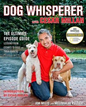 dog-whisperer-with-cesar-millan-2175569-1