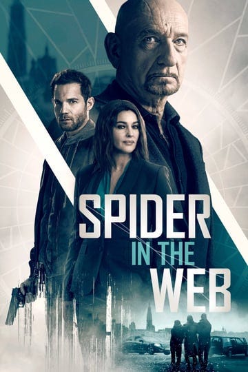 spider-in-the-web-tt7942736-1