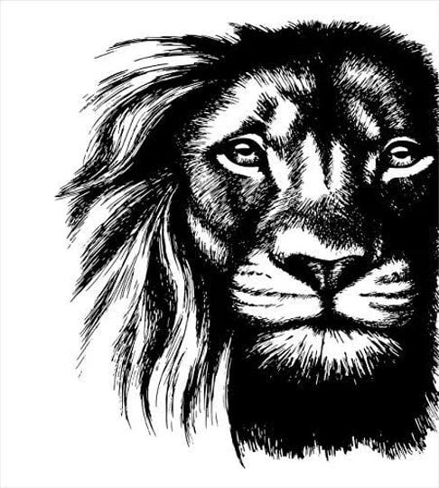 lion-duvet-cover-set-wild-african-safari-life-animal-predator-hunter-dangerous-mammal-sketchy-portra-1