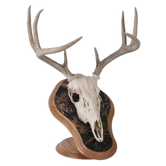 walnut-hollow-country-deluxe-euro-skull-display-kit-oak-with-camo-1