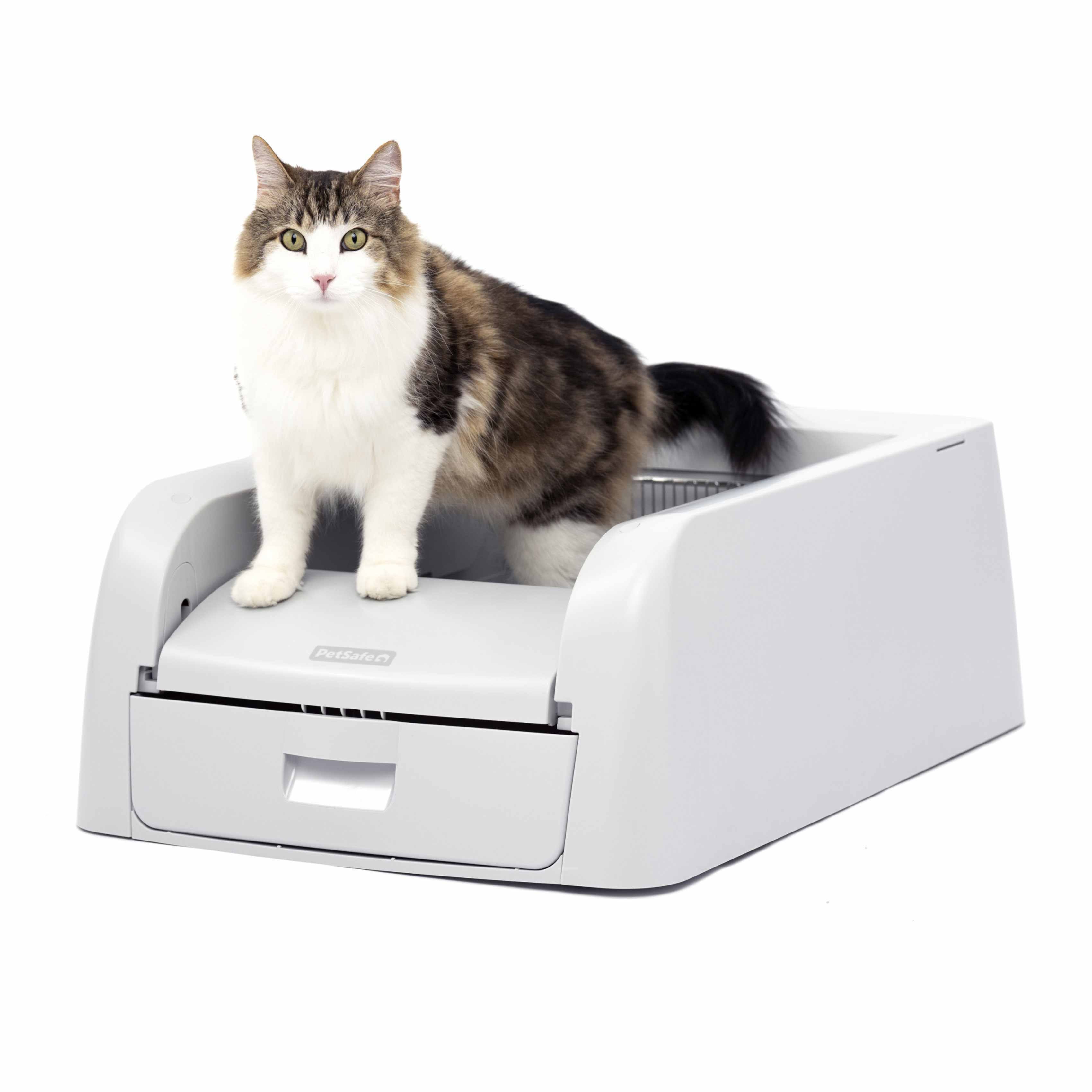 Automatic ScoopFree Litter Box for Easy Maintenance and Odor Control | Image