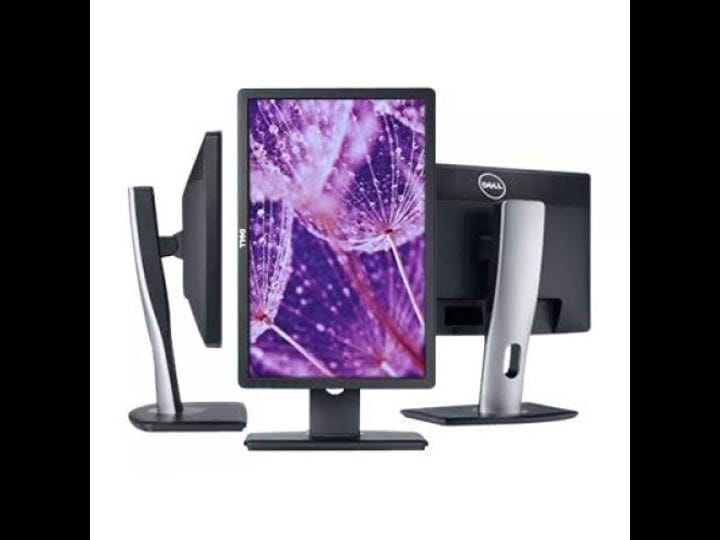 dell-professional-p1913-led-monitor-19-1