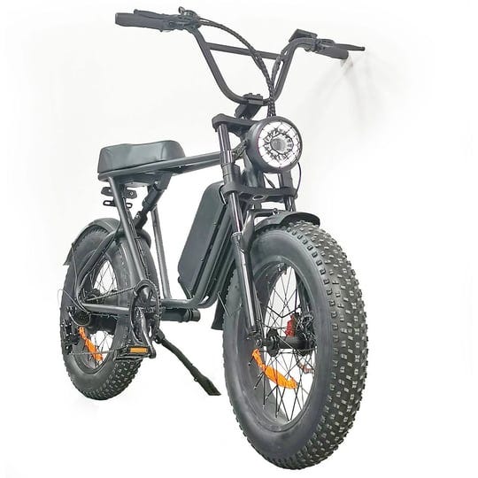 c91-electric-bike-48v-1000w-motor-20ah-battery-204-0-inch-fat-tire-60-70km-range-1