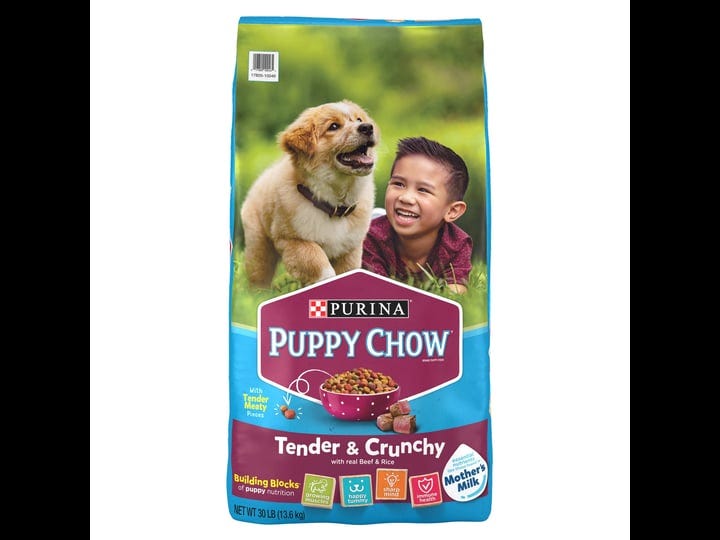 puppy-chow-tender-crunchy-with-real-beef-dry-dog-food-30-lb-bag-1