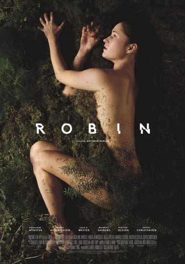 robin-4519430-1