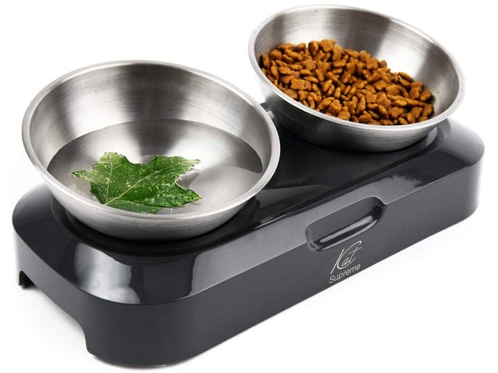 katsupreme-tilted-cat-food-bowls-elevated-cat-bowls-anti-vomiting-cat-bowl-set-stainless-steel-cat-b-1