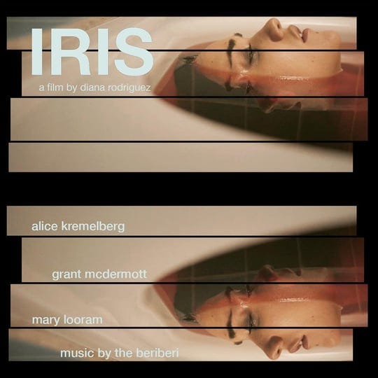 iris-4720947-1