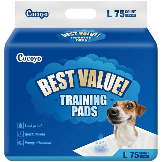 cocoyo-best-value-training-pads-34x28-l-40count-1