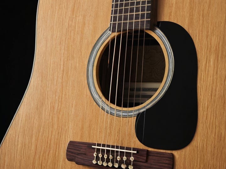 Takamine-12-String-5