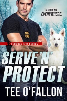 serve-n-protect-357518-1