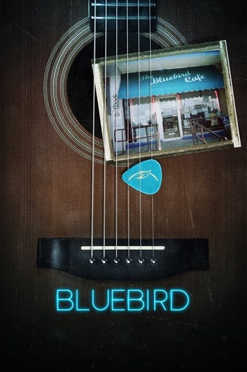 bluebird-8097-1