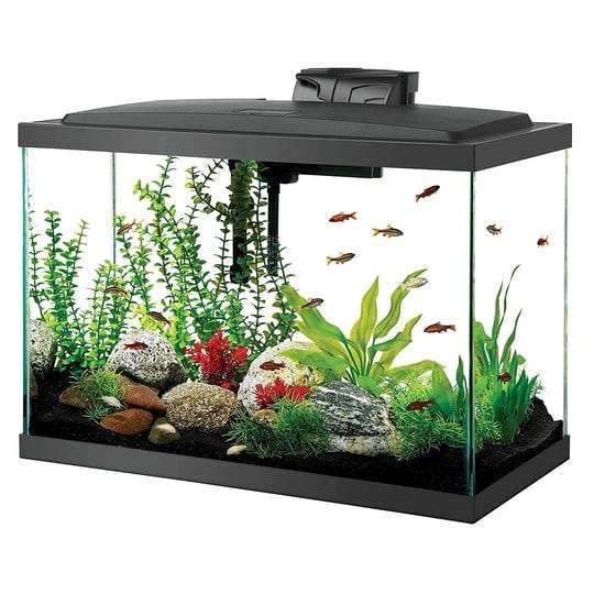 aqueon-20-gallon-led-aquarium-kit-1