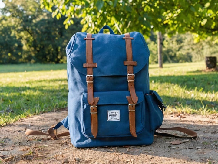 Blue-Herschel-Backpack-4