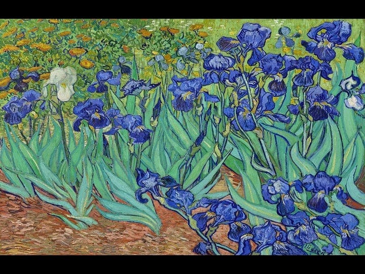 paper-placemats-for-dining-table-mats-disposable-table-linens-van-gogh-irises-table-decor-pk-24-tabl-1