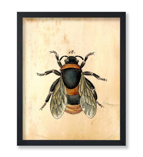 poster-master-vintage-bee-poster-retro-bumblebee-print-entomology-art-insect-art-gift-for-men-women--1