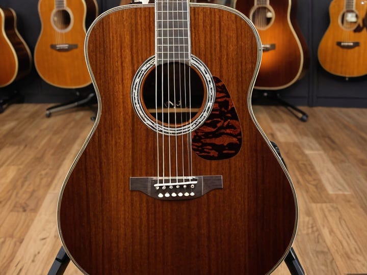 Takamine-Guitars-5