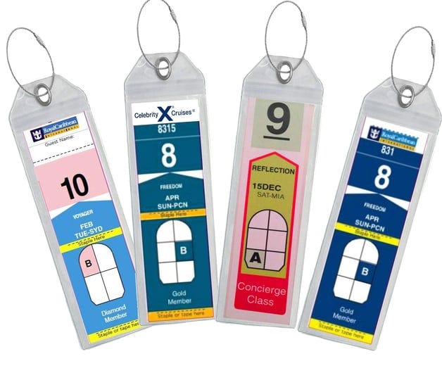 8-cruise-luggage-tag-holder-zip-seal-steel-royal-caribbean-celebrity-1