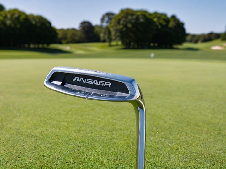 Ping-Anser-Putter-4