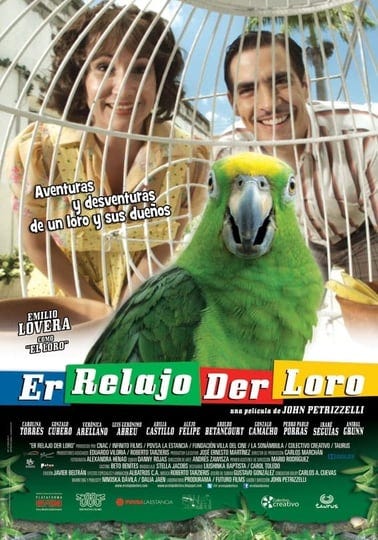 er-relajo-der-loro-5117982-1