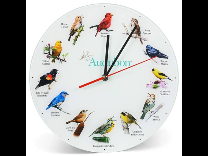mark-feldstein-associates-audubon-songbird-species-non-singing-round-glass-wall-clock-12-inch-1