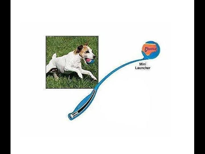 the-chuckit-ball-launcher-is-a-great-exercise-toy-for-dogs-that-love-to-fetch-classic-70cm-1