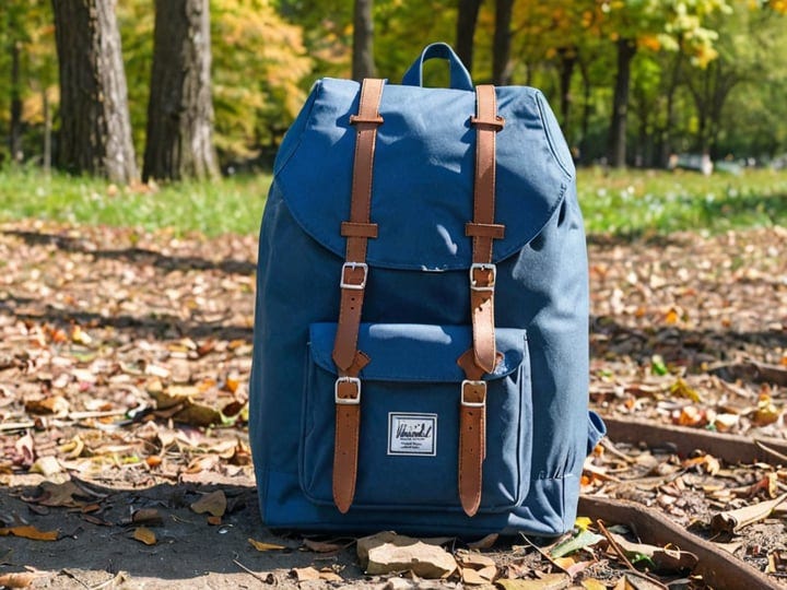 Blue-Herschel-Backpack-5