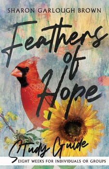 feathers-of-hope-study-guide-1342165-1