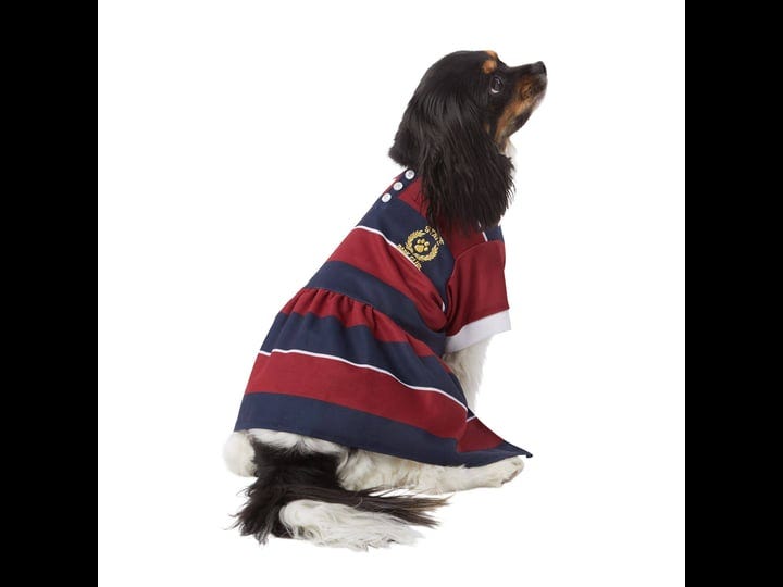 top-paw-state-bark-club-2fer-dog-dress-xl-red-navy-stripe-petsmart-1