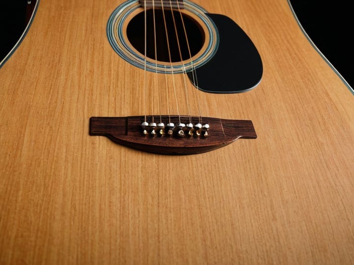 Takamine-12-String-4