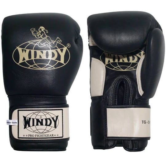 windy-thai-training-gloves-black-14-oz-1