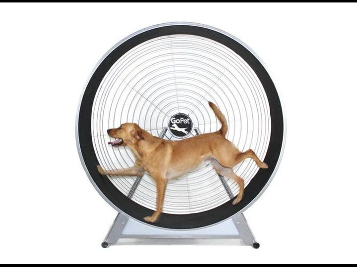 gopet-cs8022-indoor-outdoor-treadwheel-for-extra-large-dogs-1