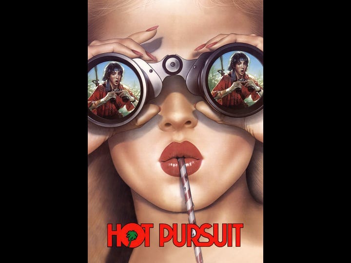 hot-pursuit-tt0093215-1